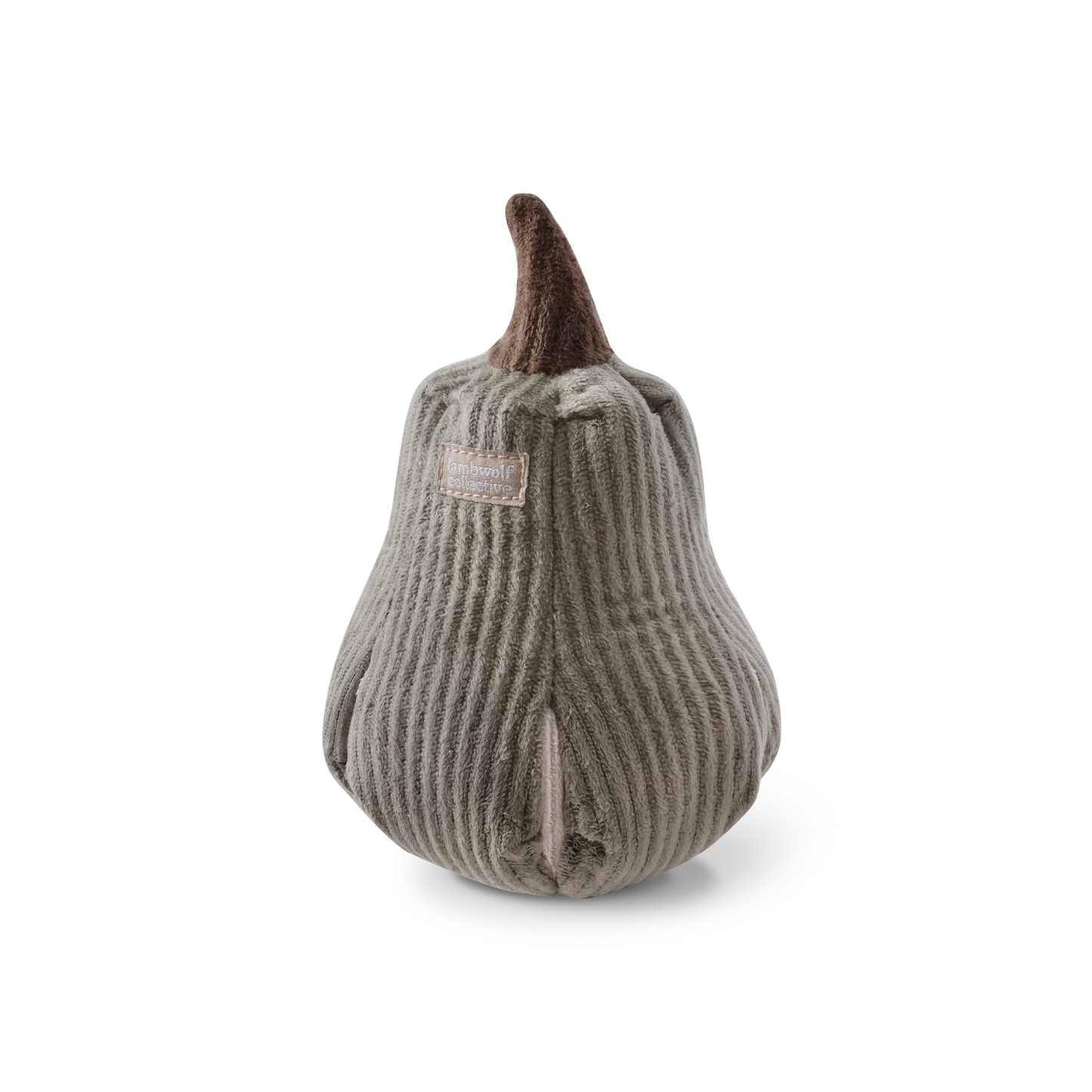 Butternut-Kürbis