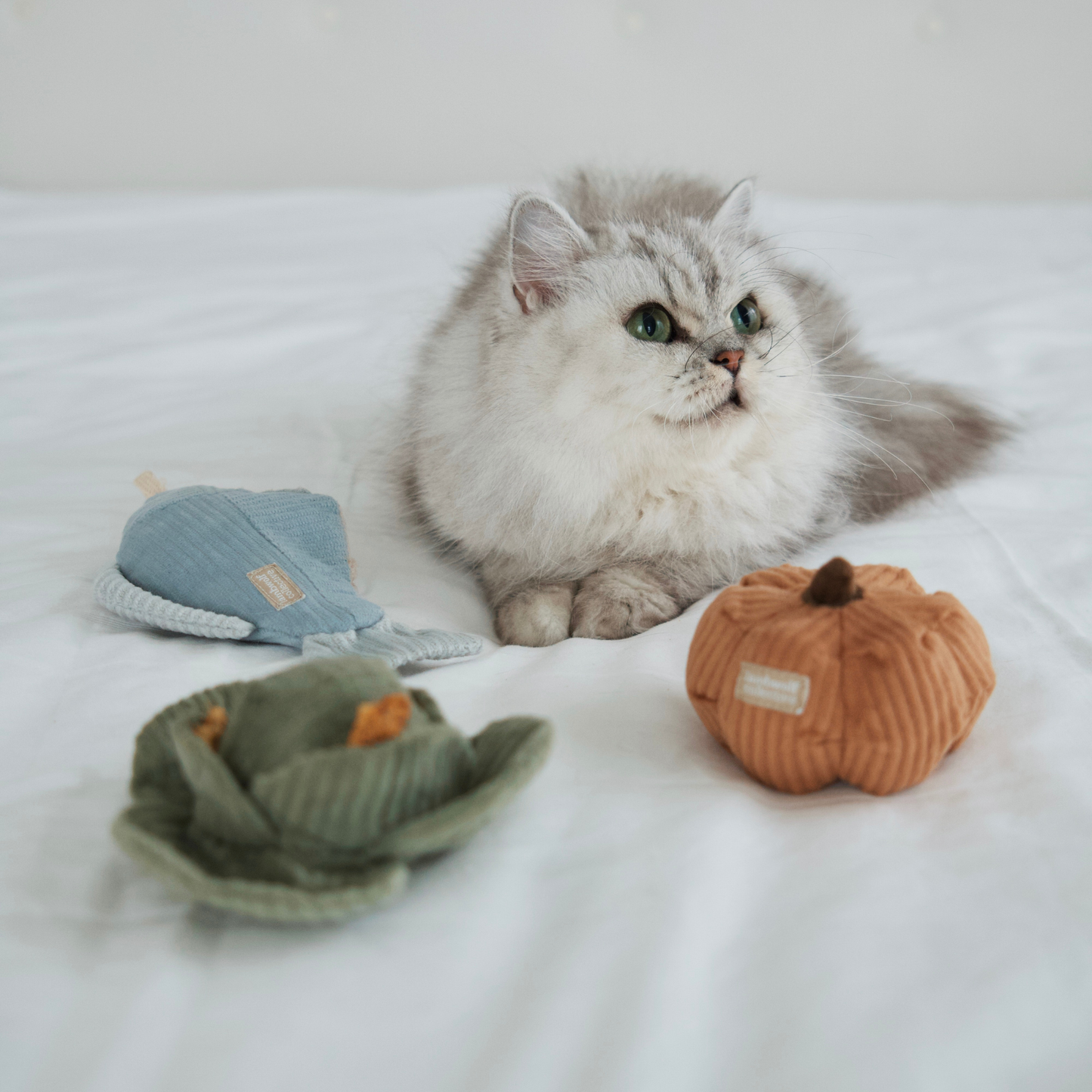 Kitty Gemüse-Set