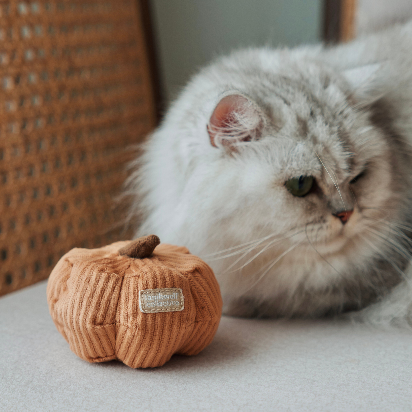 Kitty Gemüse-Set