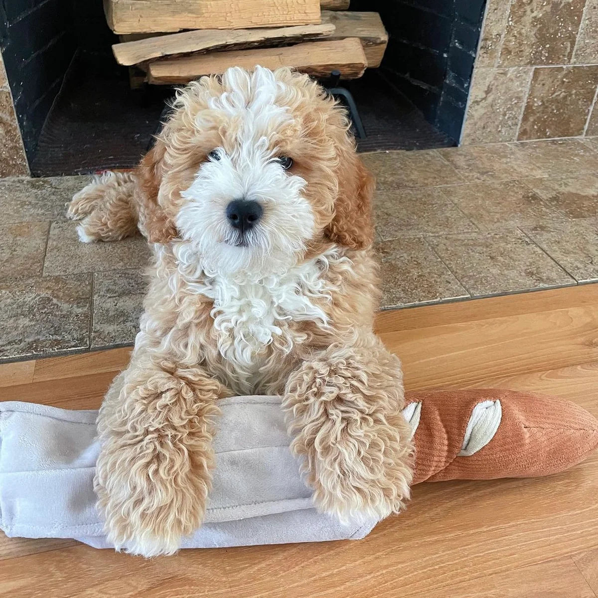 Baguette