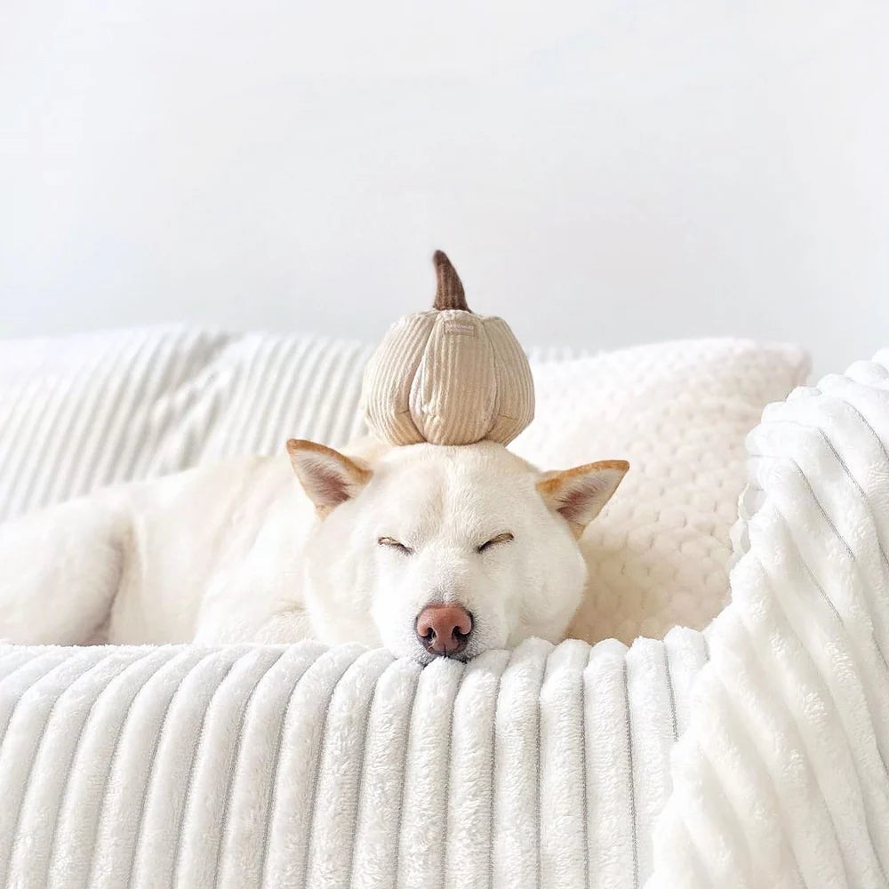 Boo-Kürbis