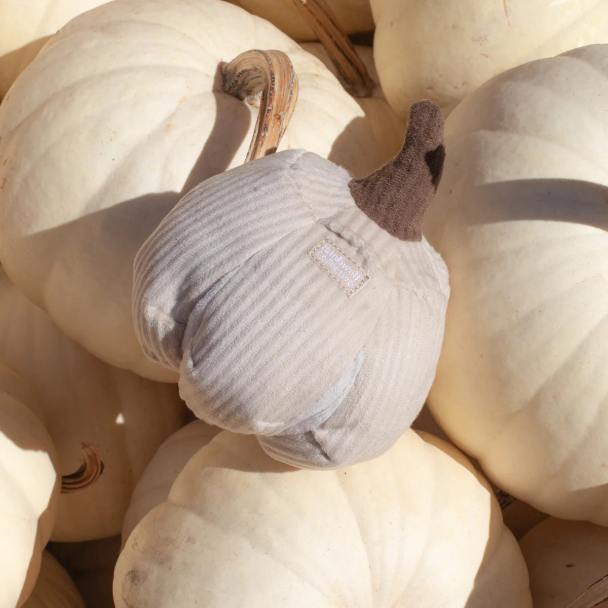 Boo-Kürbis